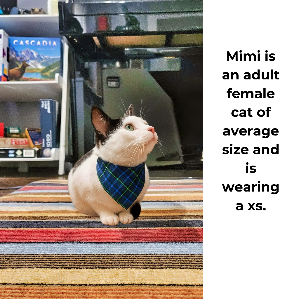 Personalized Valentine Pet Bandana with Name | Dogs & Cats