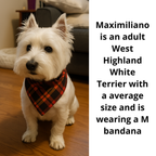 Double-faced Plaid Collared Pet Bandana with Adjustable Collar