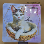 Custom Pet Portrait Sticker — Returning Customers Only