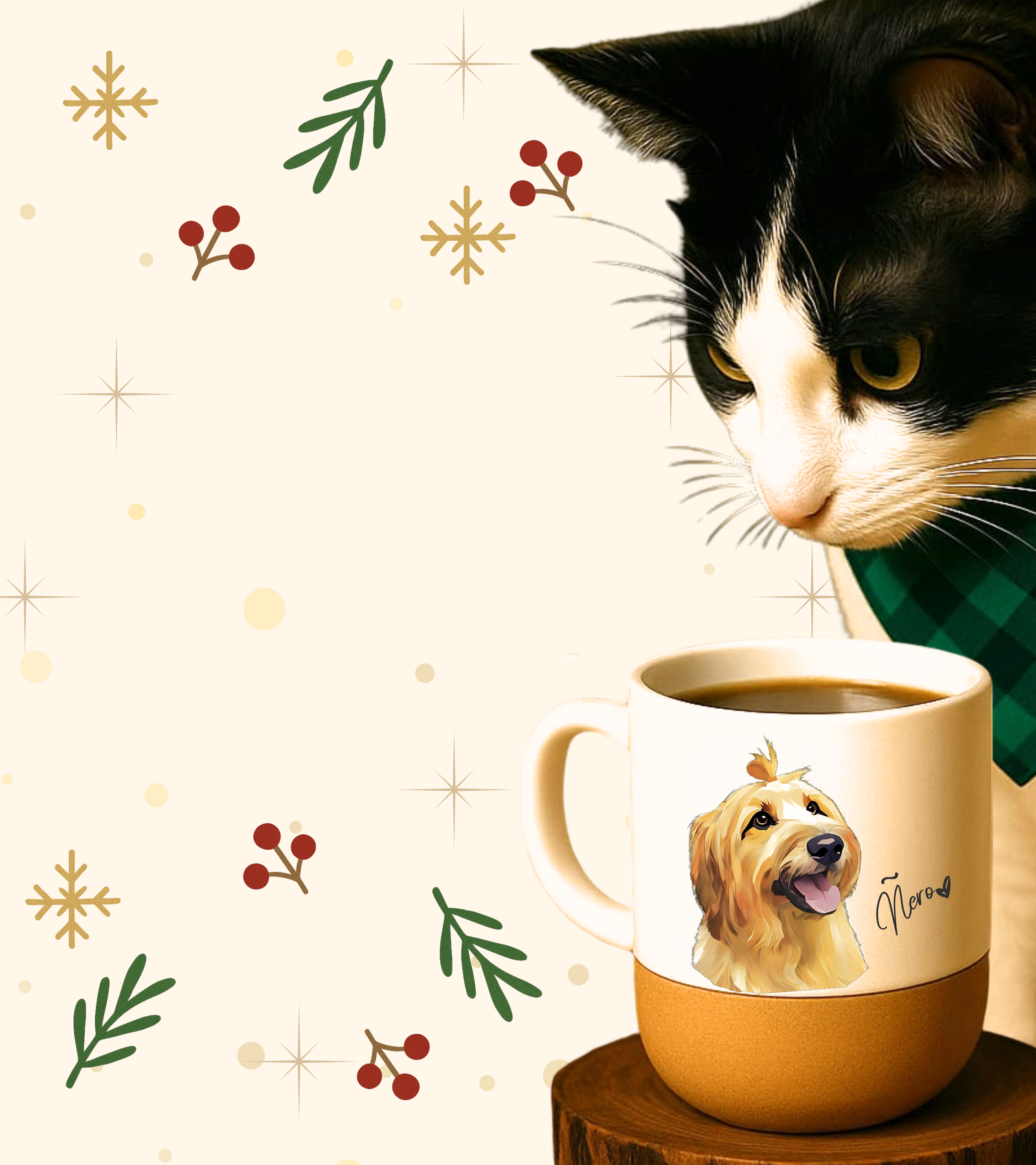 Nishi Pet Studio Banner Mobile