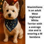 Personalized Golden Snowflake  Pet Bandana Max