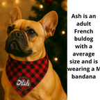 Personalized_Holiday_Crown_Pet_Bandana_Ash_Red