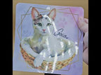 Custom Pet Portrait Sticker — Returning Customers Only