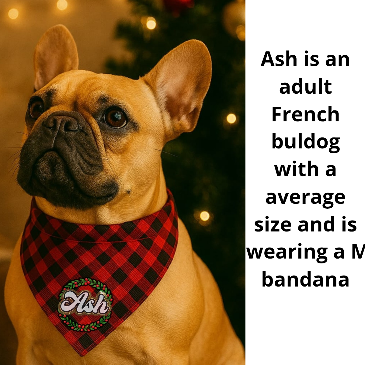 Holiday Crown Pet Bandana – Personalized